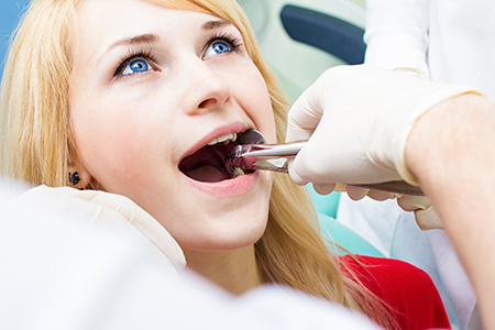 M. Derek Davis, DDS
